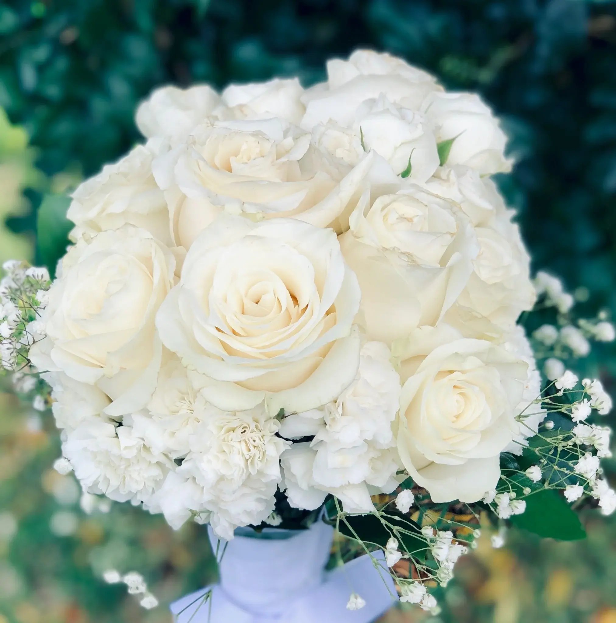 bridalw4_1024x1024@2x